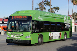 culvercitybus